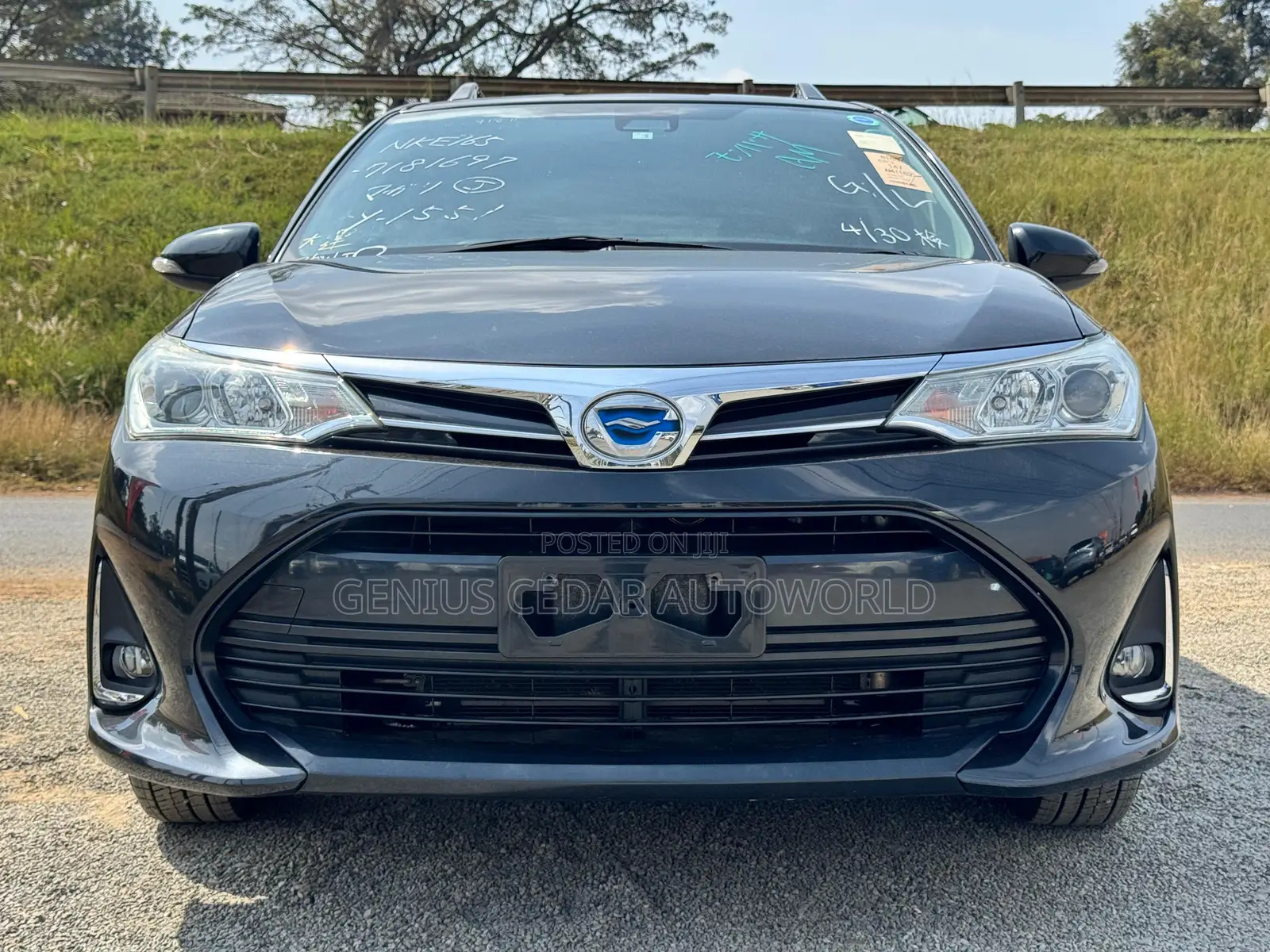 Toyota Corolla Fielder 2018 Black