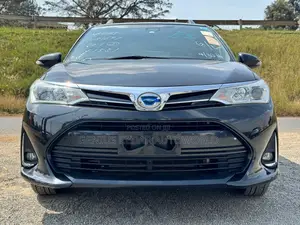 Toyota Corolla Fielder 2018 Black