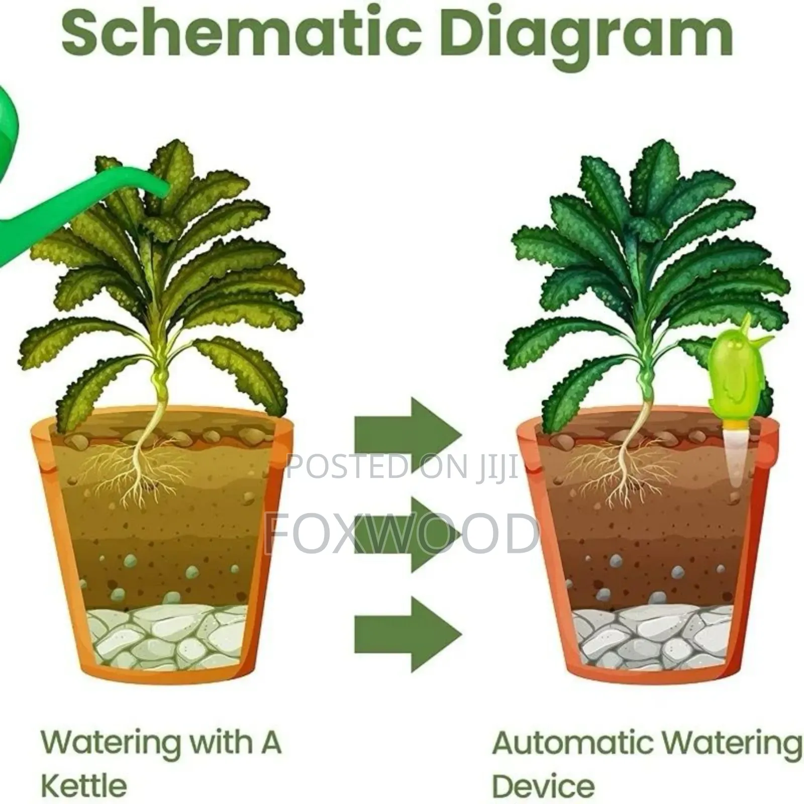 5pcs Plant Watering Devices