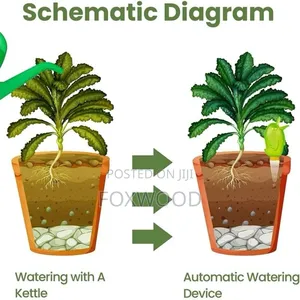 5pcs Plant Watering Devices