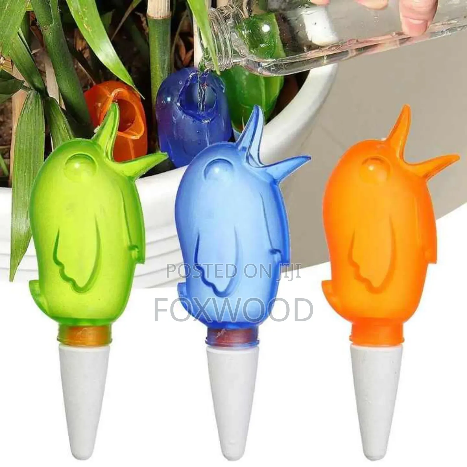 5pcs Plant Watering Devices