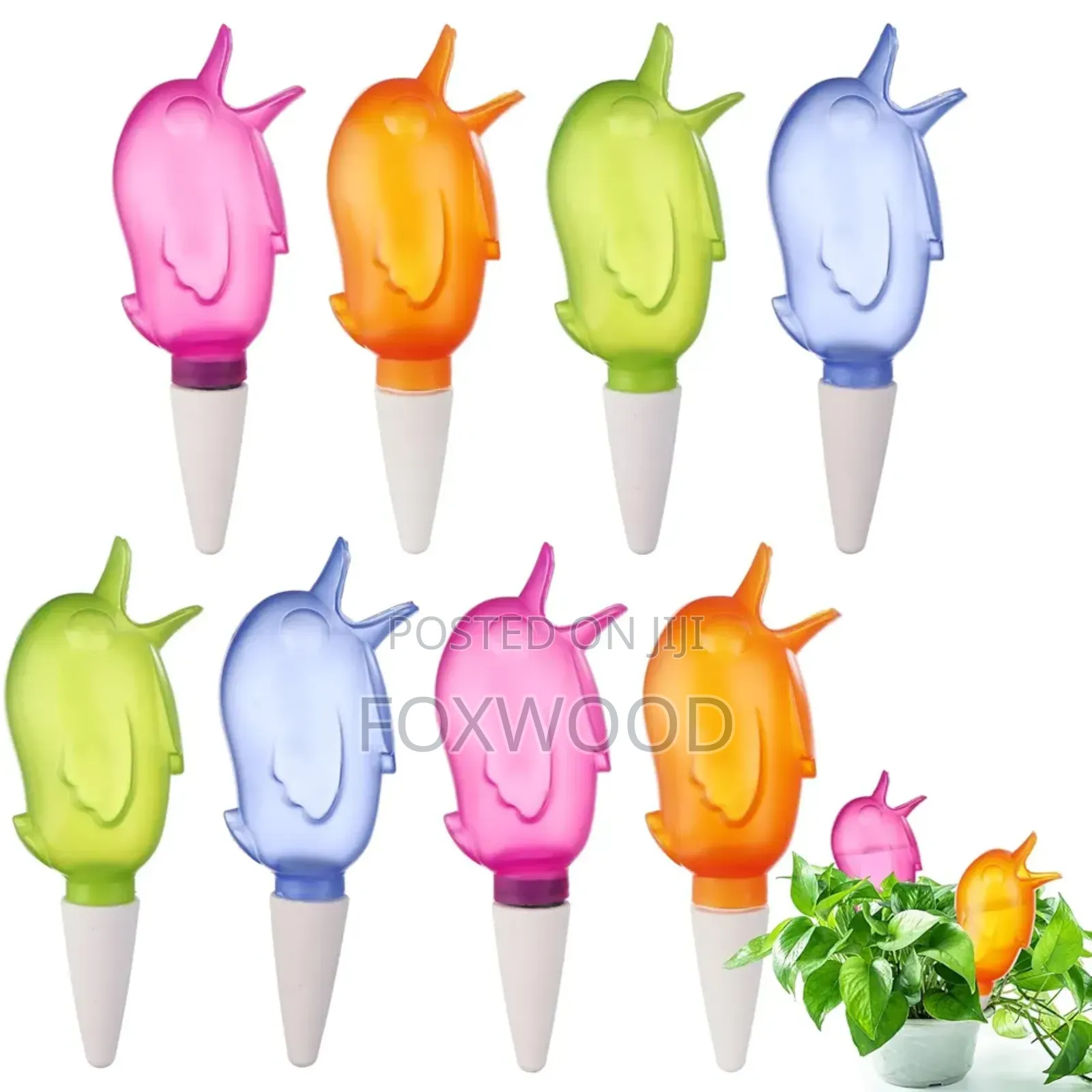5pcs Plant Watering Devices