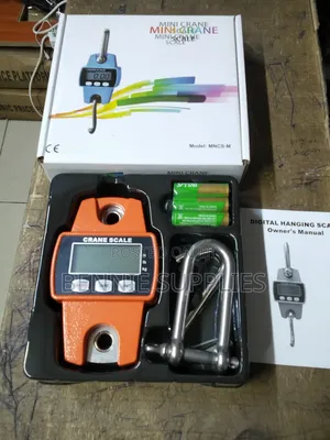 Perfect Digital Hanging Scale/ Mini Crane 300kg Mini Crane