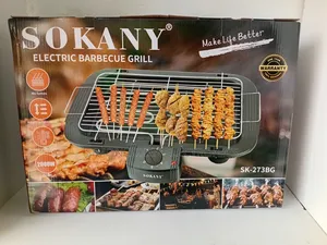 Electric Barbecue Grill