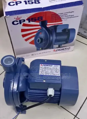 High Quality Pedrollo Water Pump