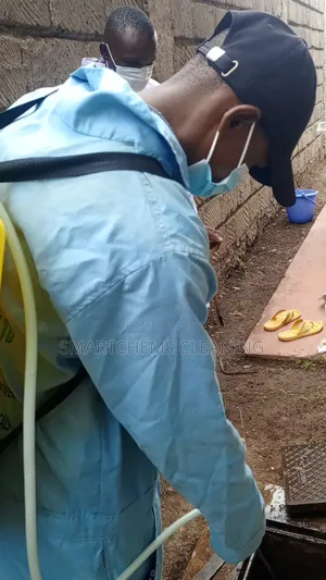 Pests Control Services in Umoja