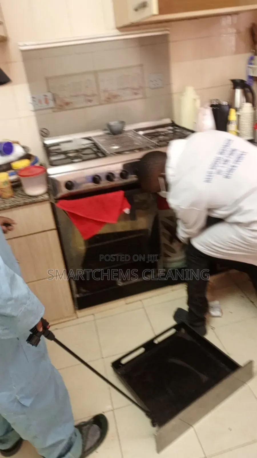 Cockroaches and Bedbugs Treatment in Roysambu