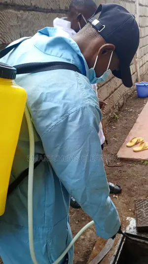 Cockroaches and Bedbugs Control in Kasarani