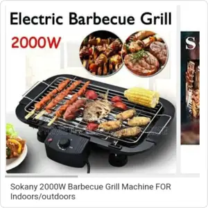 Electric Barbecue Grill