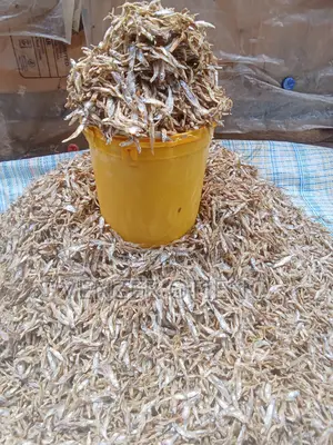 Clean Dry Omena for Sale
