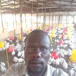 Animal Management