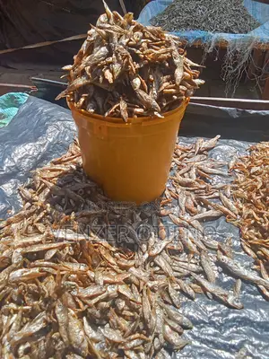 Fried Crunchy Fulu (Small Fish)
