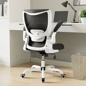 Ergonomic Desk Chair With Adjustable Lumbar Support