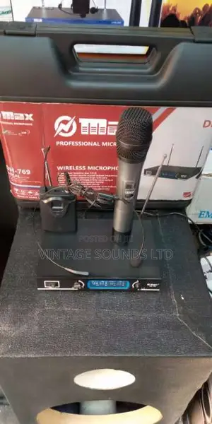 Professional Max Wireless Mic
