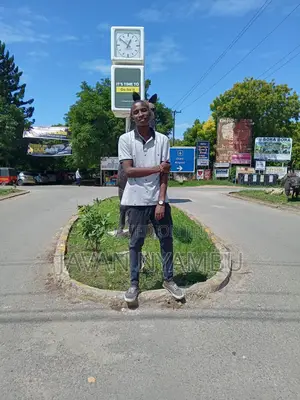Fibre Optic Technician
