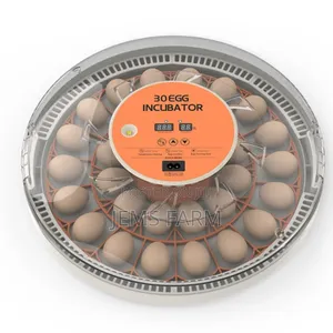 30 Eggs Home Use Incubator Fully Automatic Eggs Incubators