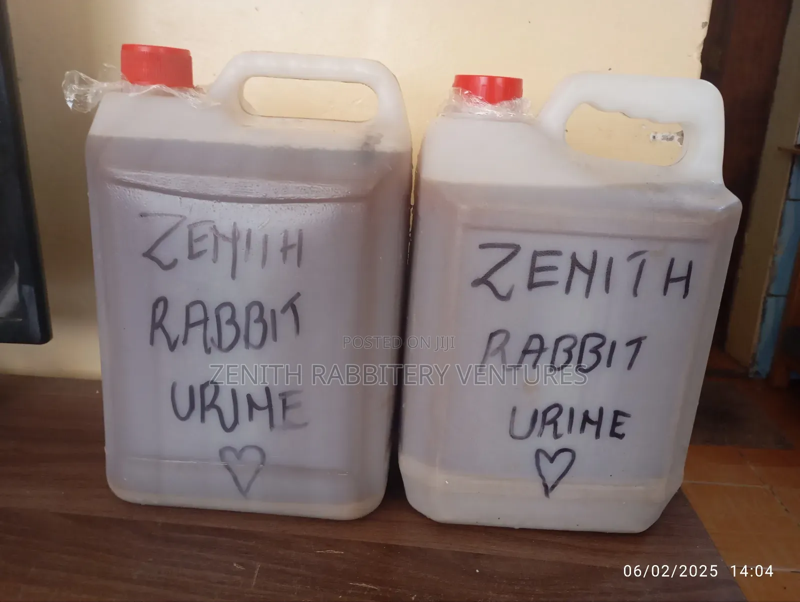 Pure Rabbit Urine for Sale