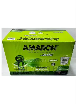 Din 80 A.G.M Amaron Pro