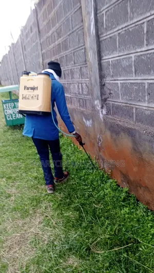 Termites Control Services
