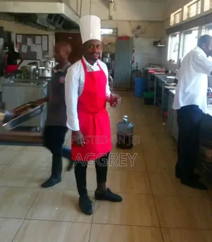 Indian Other Cuisine Chef