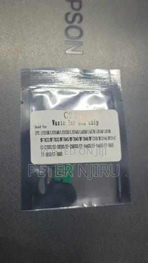 Epson C9345 Maintenance Box Chip