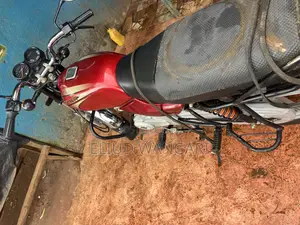 Bajaj Boxer 100 2024 Red