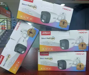 Smart Dual Light Bullet Camera With Audio