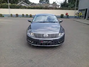 Volkswagen Passat SEL Premium 4dr Sedan (1.8L 4cyl Turbo 6A) 2014 Gray