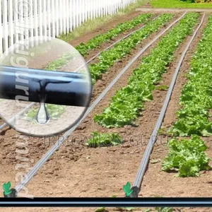 Irrigation Hose for Crops