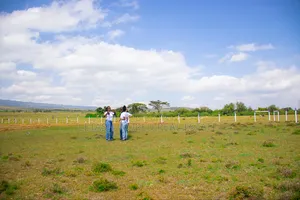 Affordable Plots 50 by 100 in Naivasha,Selling Price 