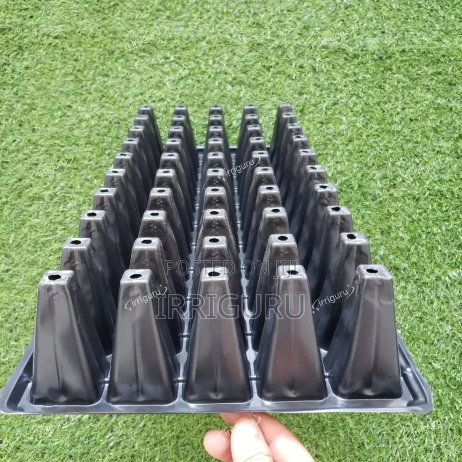Green Start Trays