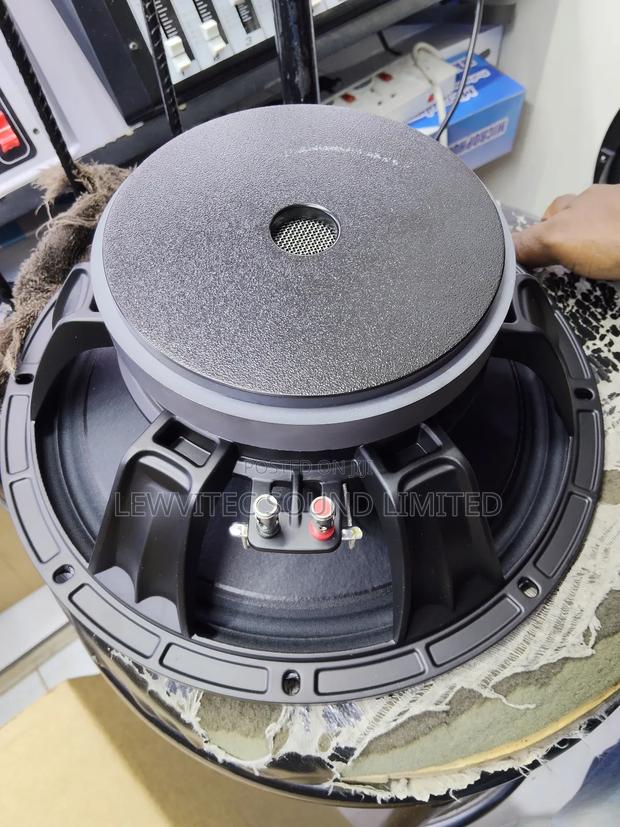 Heavy 12 Inch Naked Speaker - main view