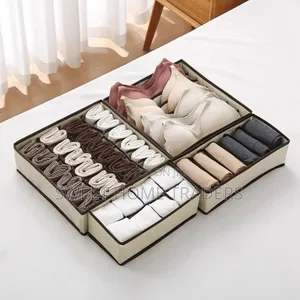 Undergarments Organizer