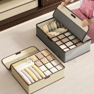 *17 Grid Undergarment Organizer With Cover