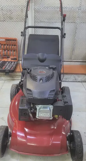 Approved 5.5hp Gasoline Lawn Mower