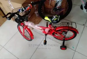 Assembled Kids Bike. Lion Kind Size 16
