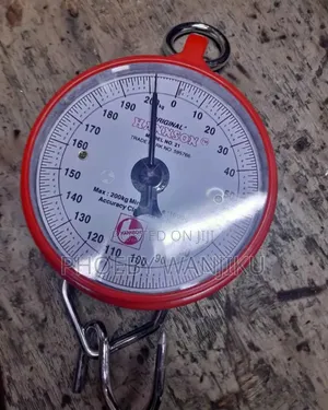 Highly Reliable Hook Weighing Scale