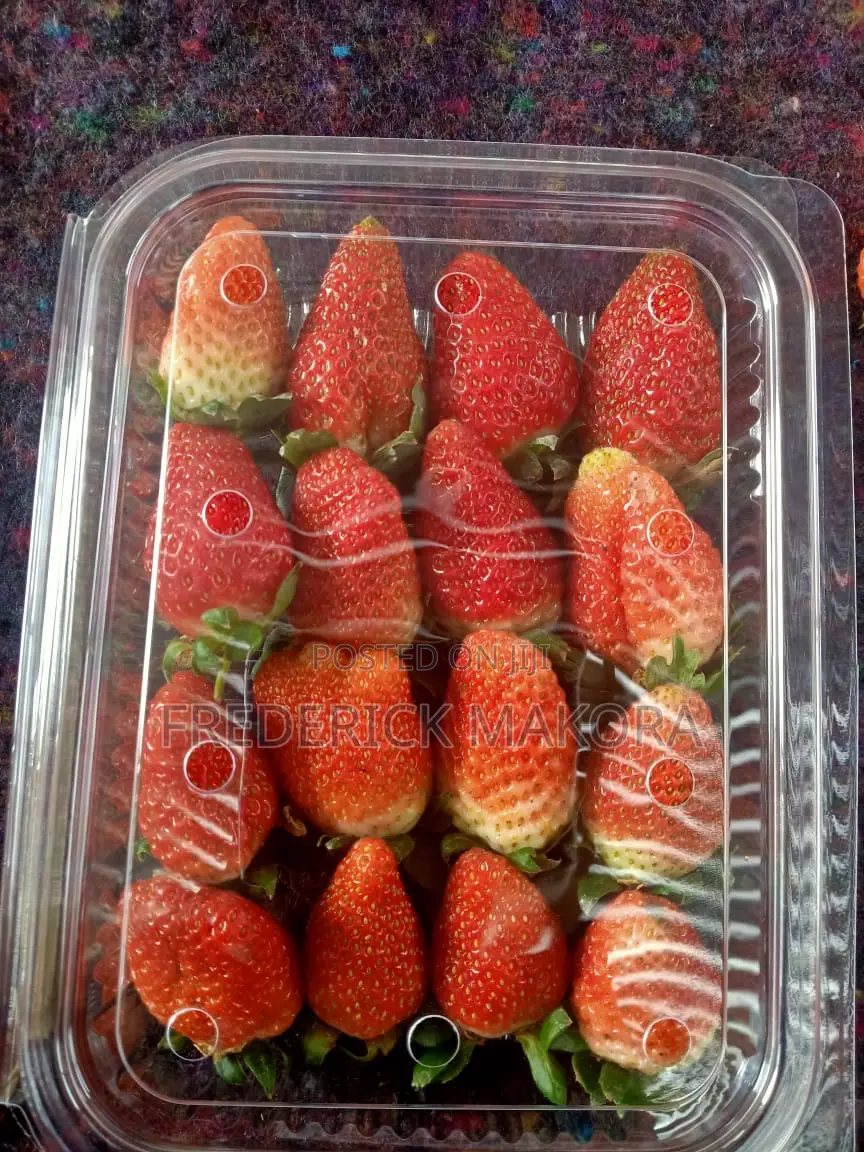 Fresh Organic Strawberries