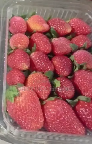 Fresh Organic Strawberries