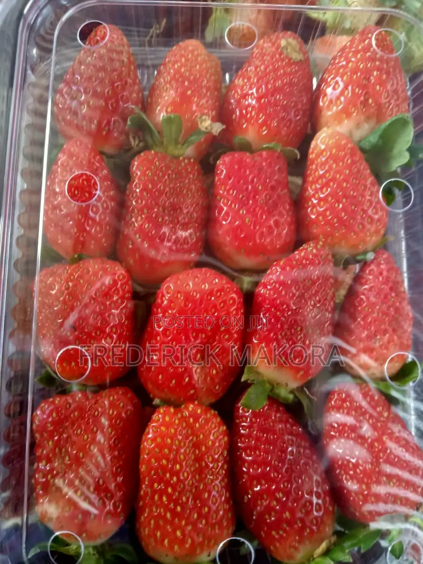 Fresh Organic Strawberries