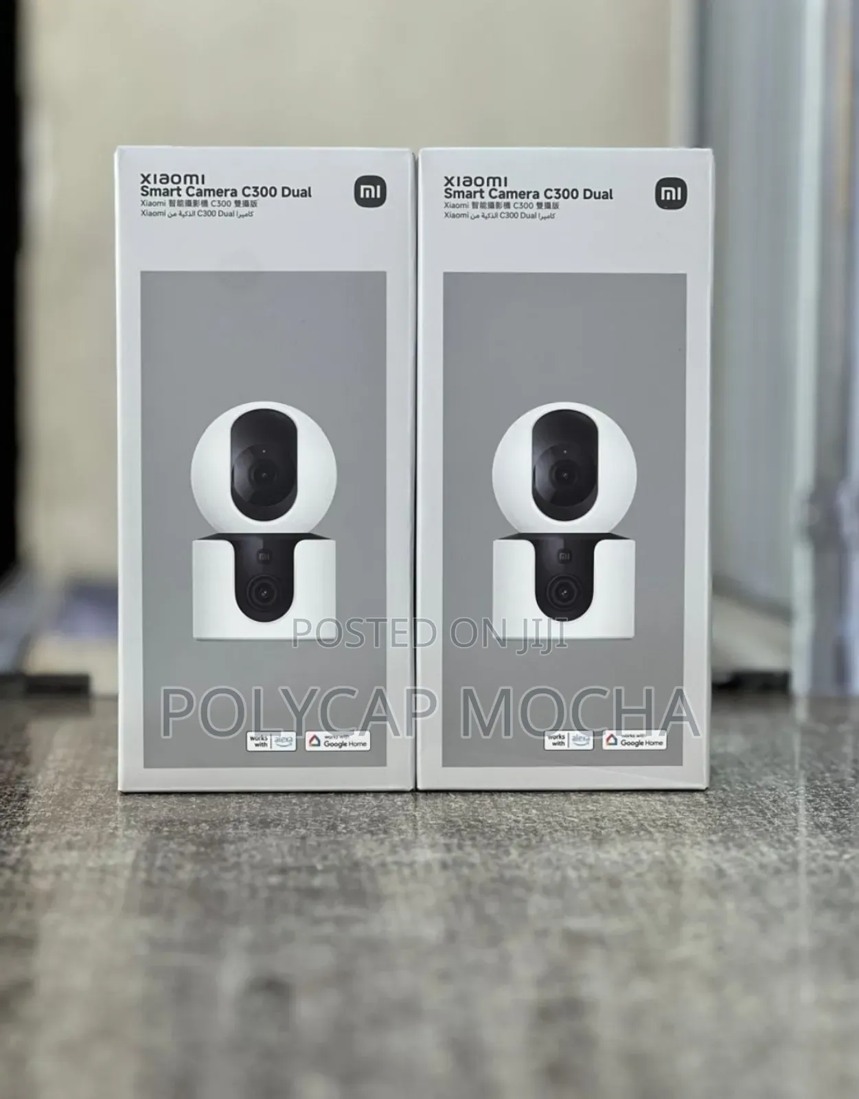 Xiaomi Smart Camera C300, Ai Human Detection