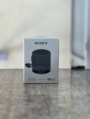 Sony SRS-Xb100 Wireless Speaker