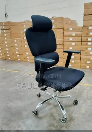 Fully Fabric Orthopedic Office Chair