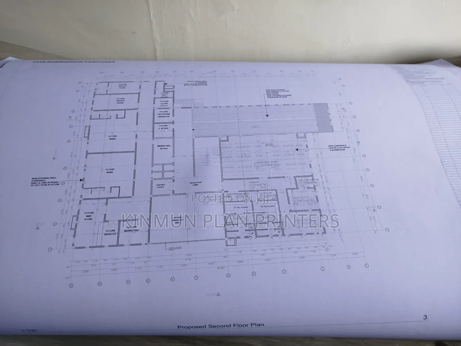 Architecture and Structural Blueprints and Survey Drawings