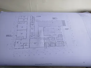 Architecture and Structural Blueprints and Survey Drawings