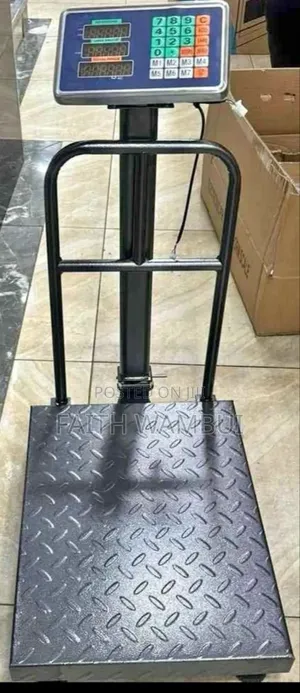 300kg Platform Weighing Scale/Platform Weighing Scale 300kg