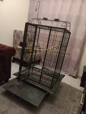 Birds Cage, Parrot Cage Large Size