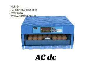 Modern Incubator