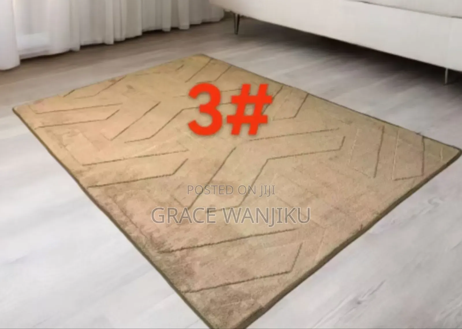 Cozy Shaggy Carpet