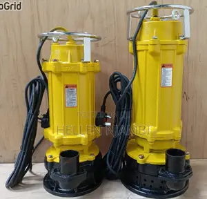 Max 2hp 2" Polar Submersible Sewer Pump(230l/Min Ht.25m)